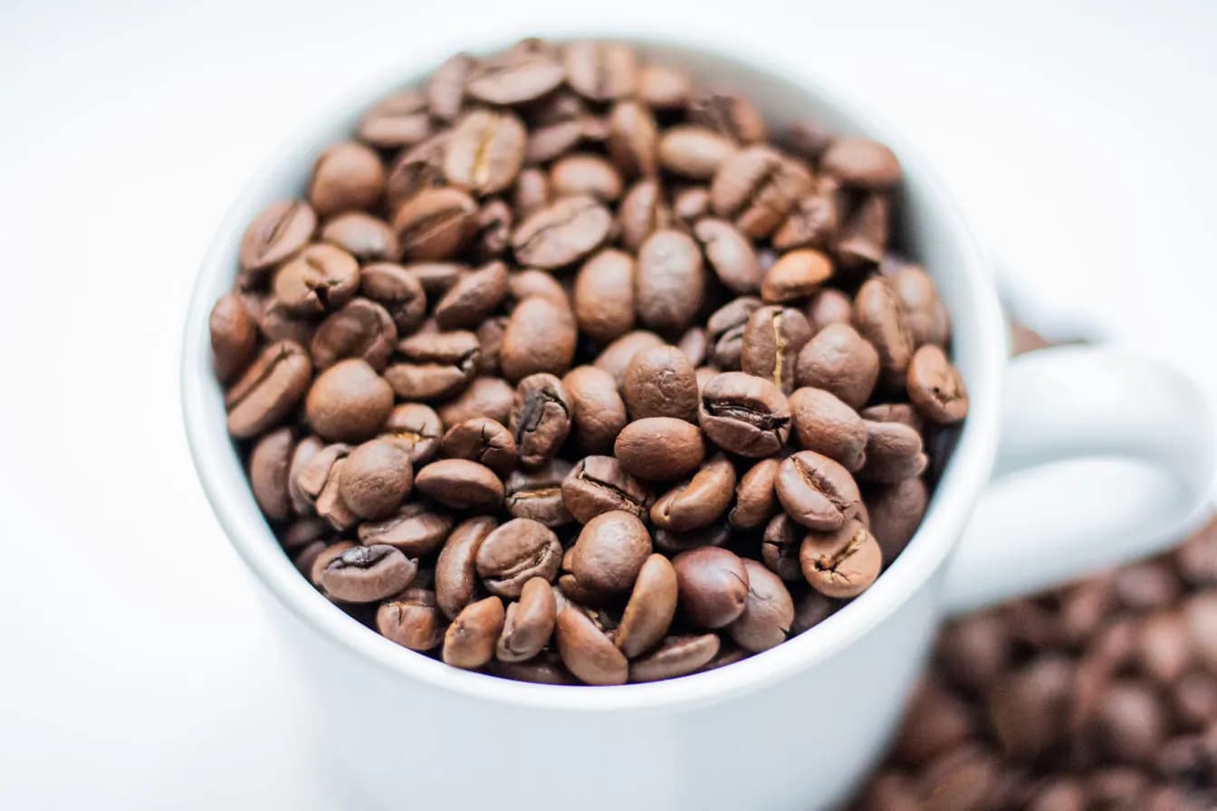 Signature Blend | Volcanic Roast | 12 Oz