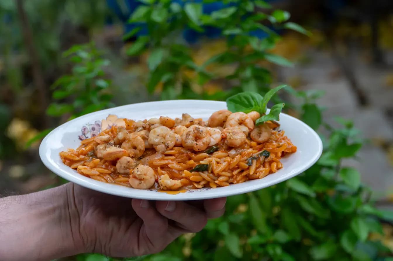Mediterranean Orzo