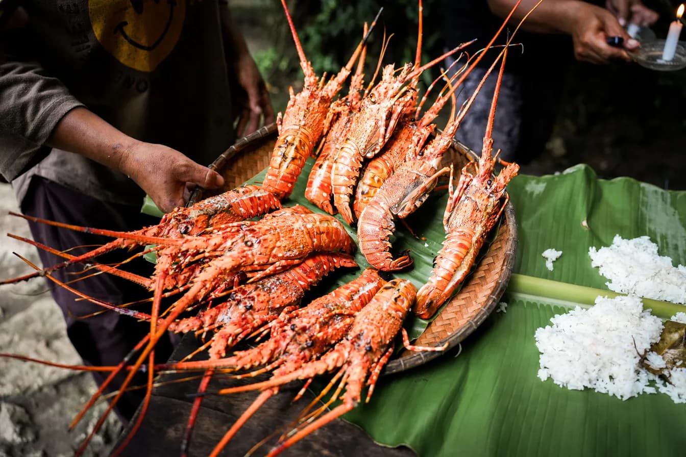 MAINE LOBSTER