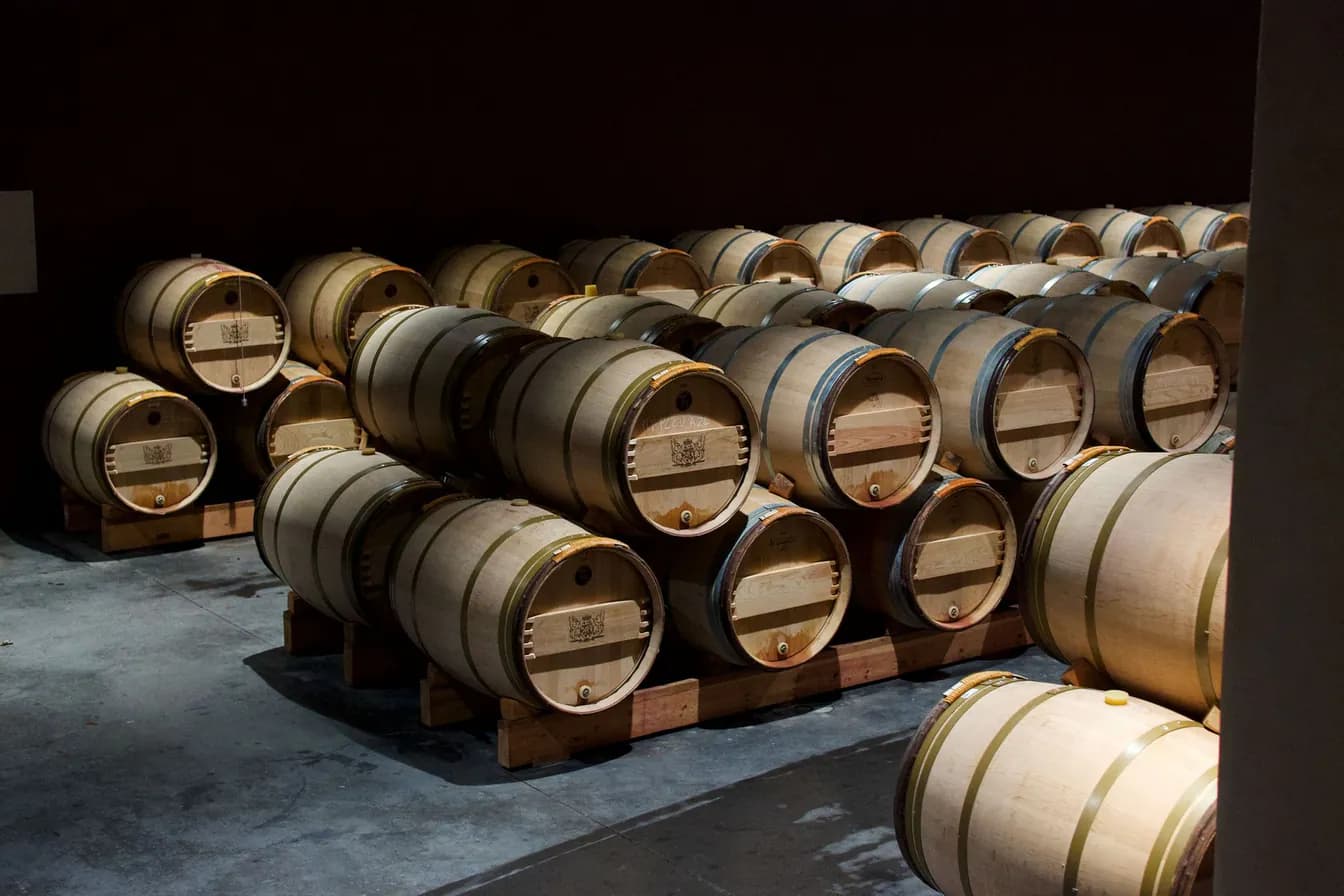 Château Lynch Mousssas 2018, Pauillac