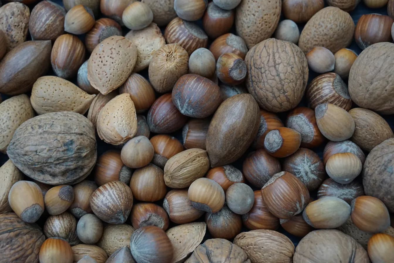 Mixed Nuts