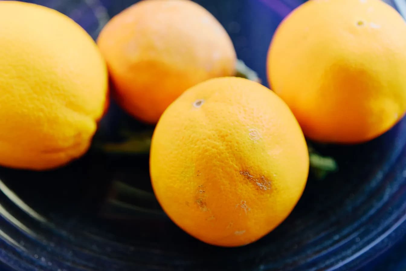 Navel Oranges