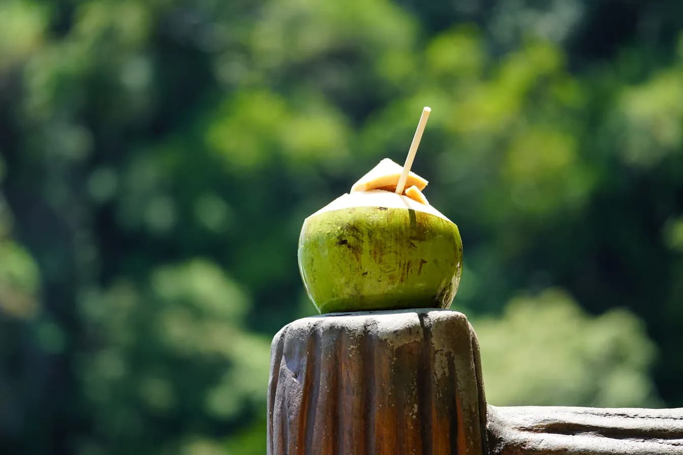 Coconut Water Matcha