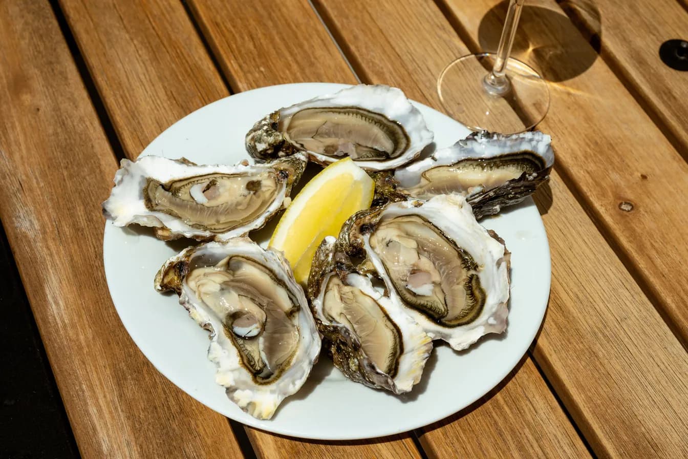 Gulf Oysters