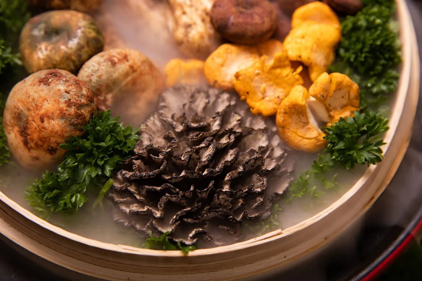 Hen of the Woods Mushrooms