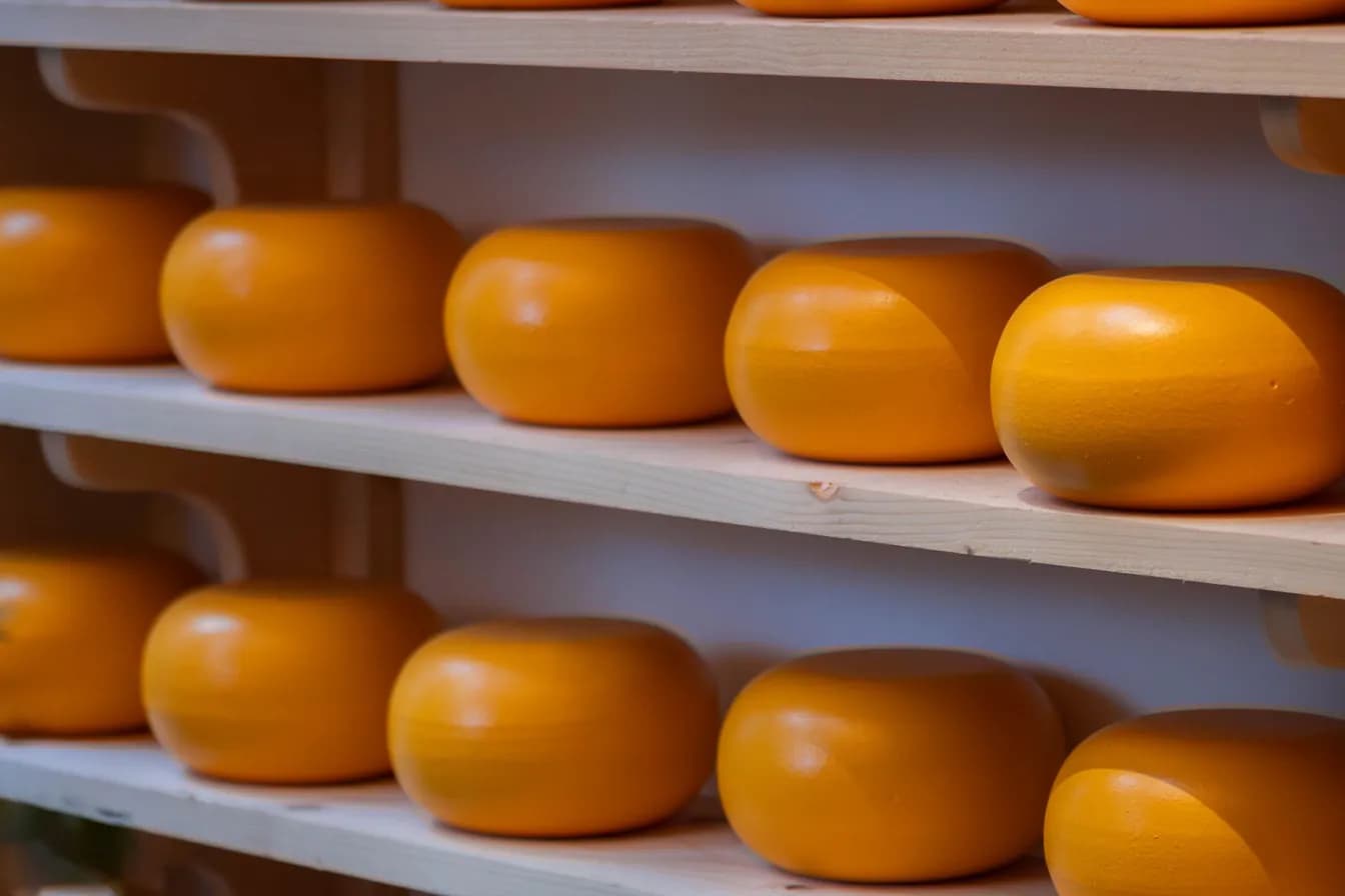 Aged Gouda (2 yr)