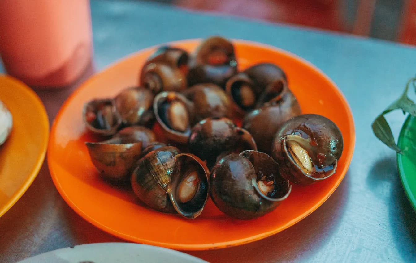 Snails Leslie