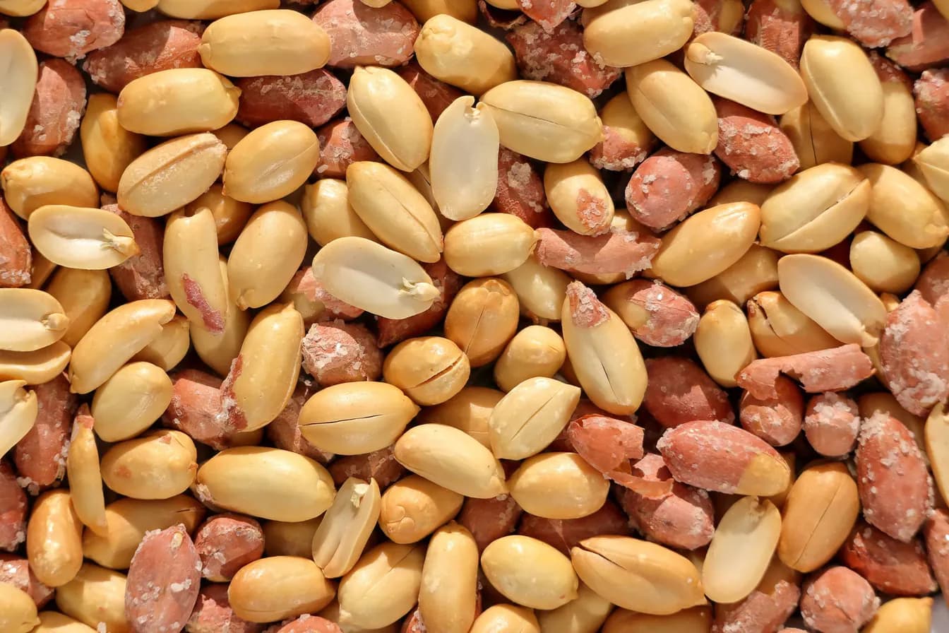 Peanuts