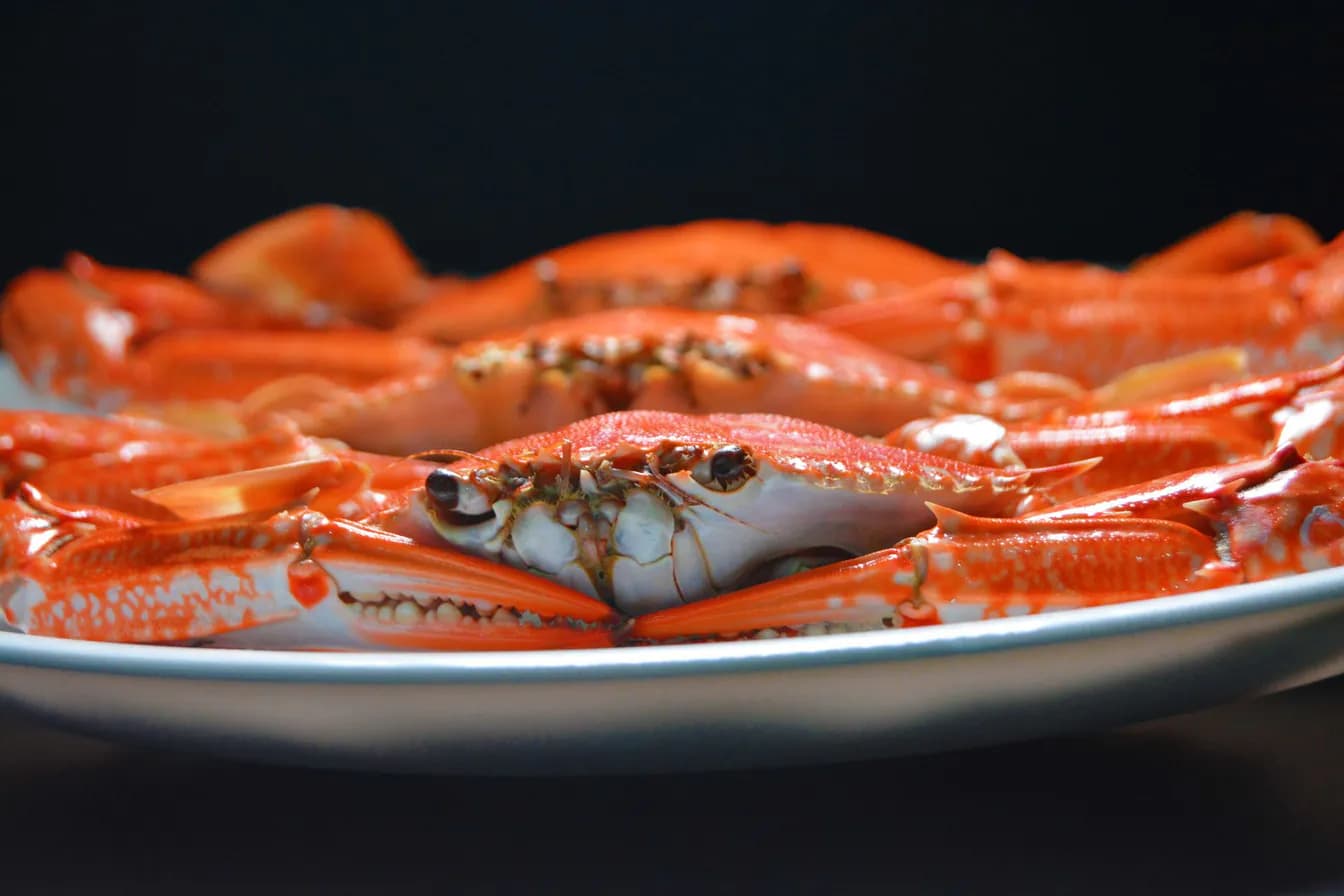 Shrimp & Crab Louis