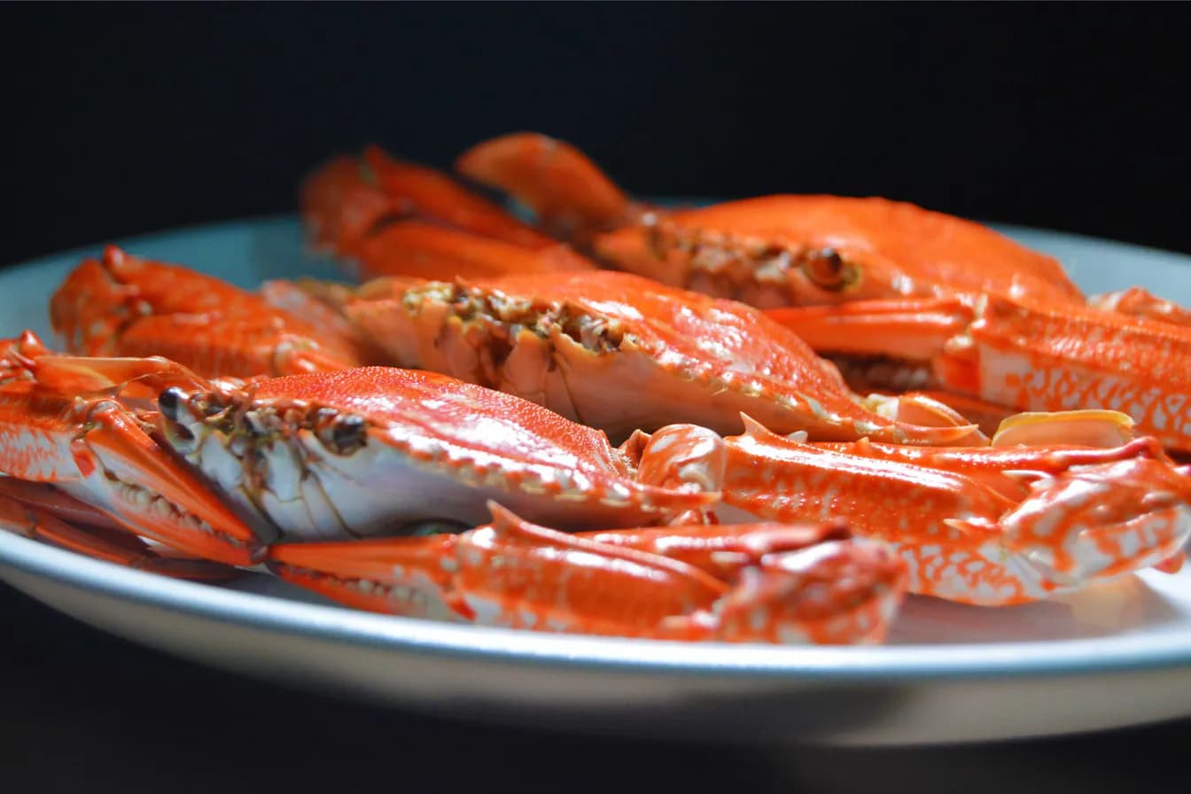 Coastal Blue Crab Salad
