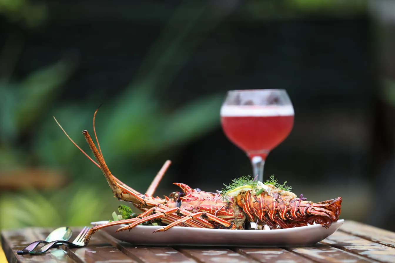 Maine Lobster Cocktail