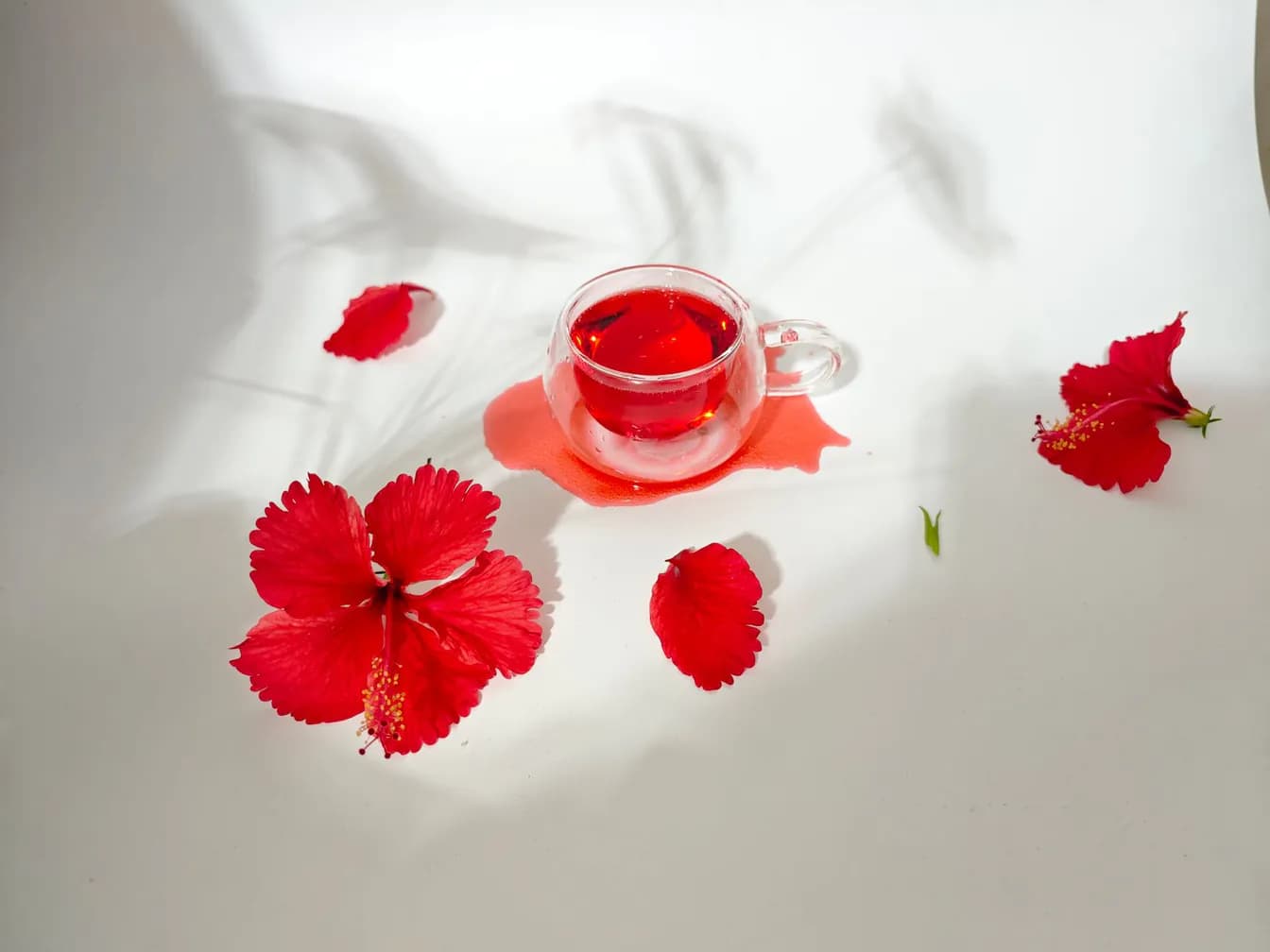 Basil Hibiscus Tea