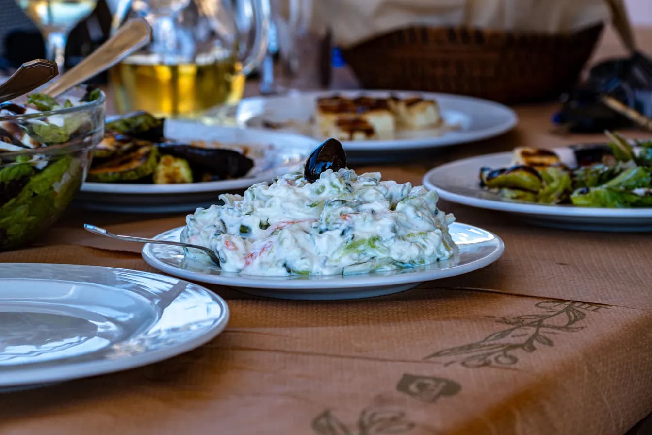 Turkey Tzatziki Wrap