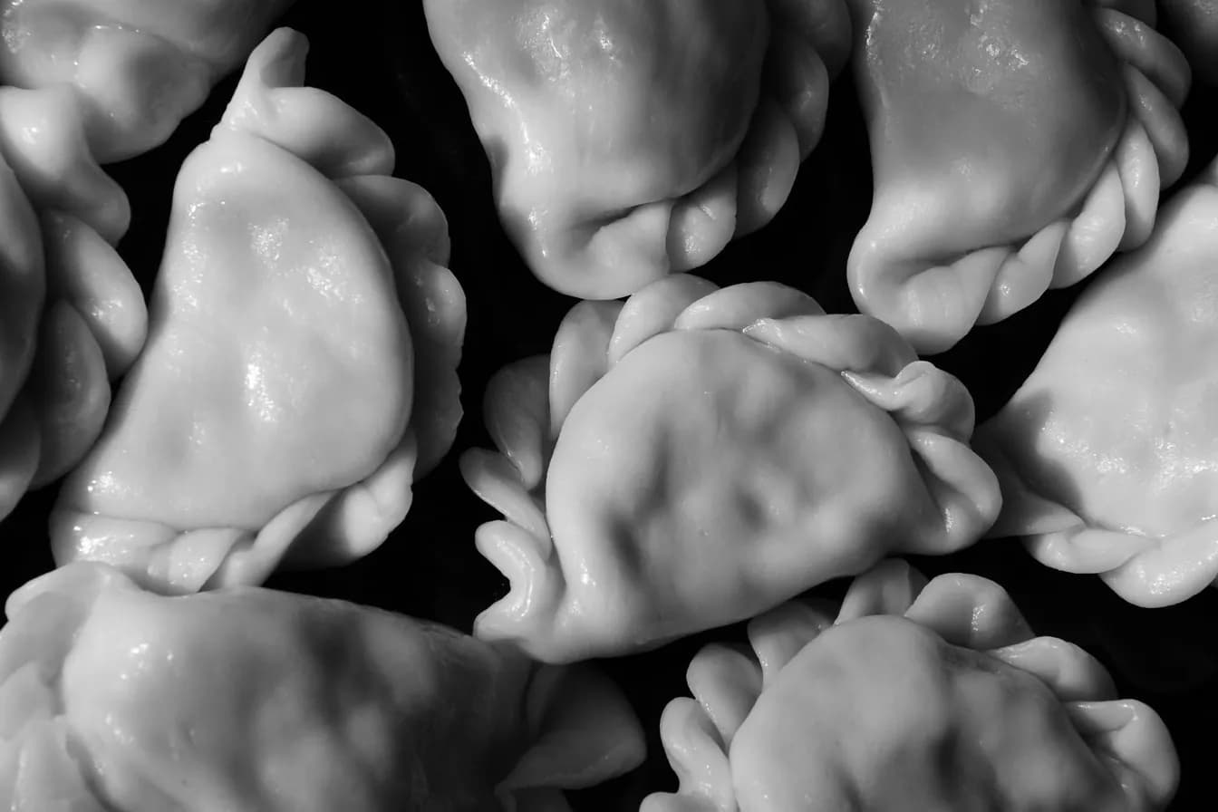 Gyoza Dumplings (6)