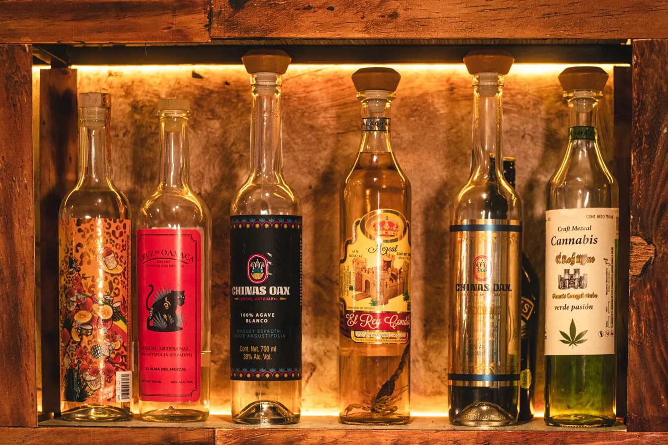 Mezcal Producer Espadín