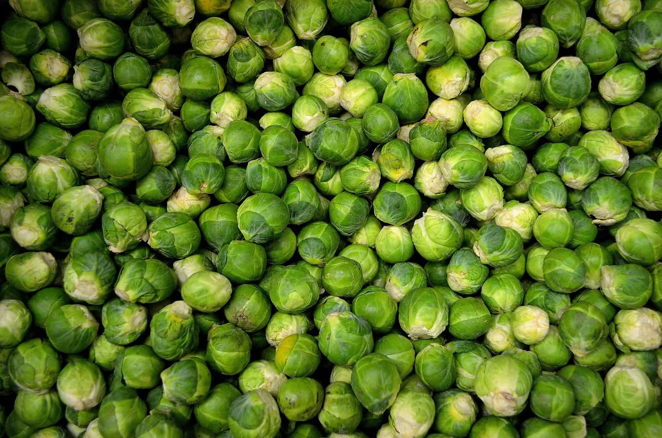 Fried Brussels Sprout Salad