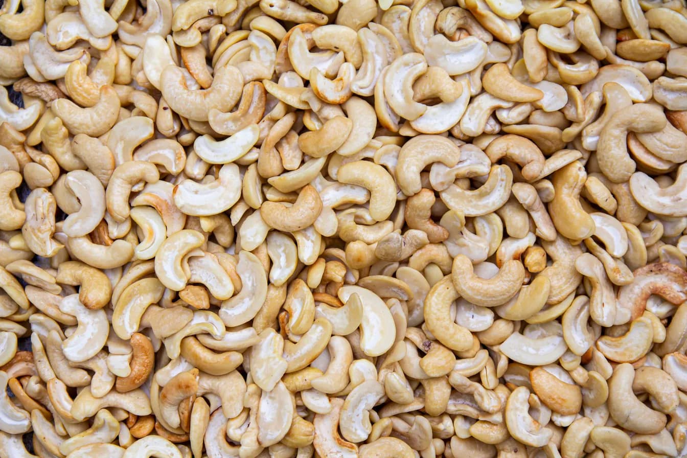 Cashew Nut