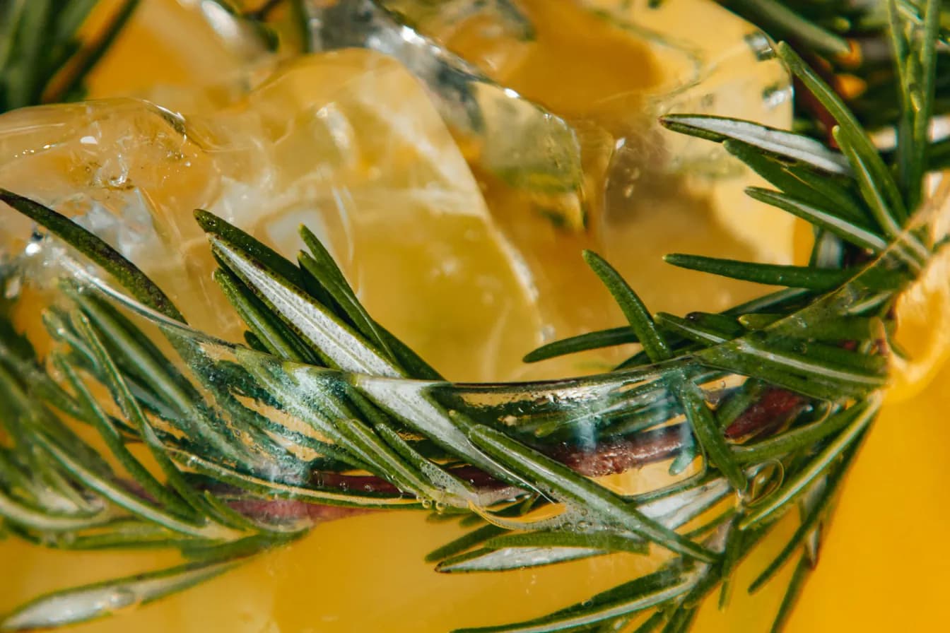 Rosemary's Bucha