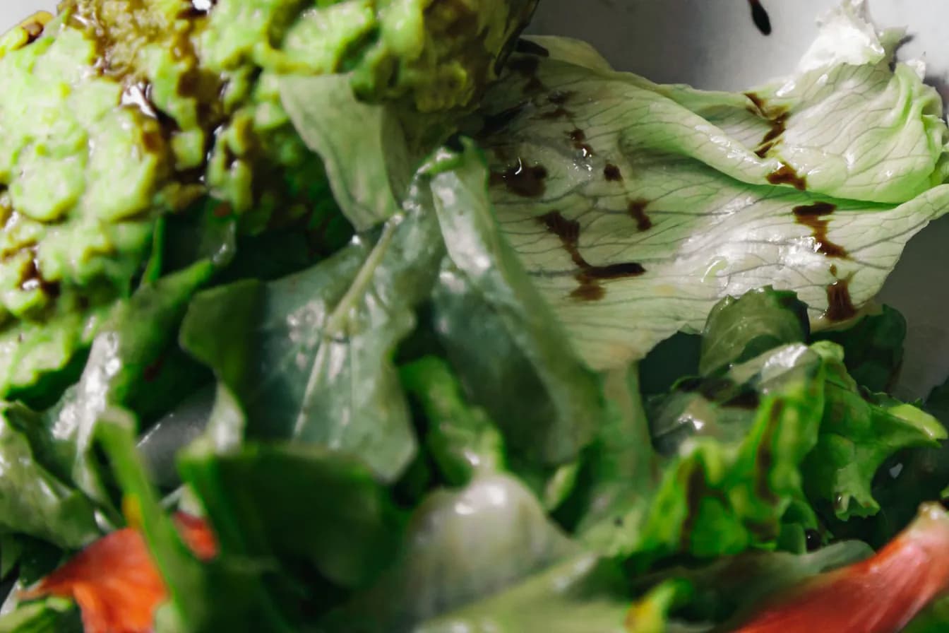 Avocado Salad