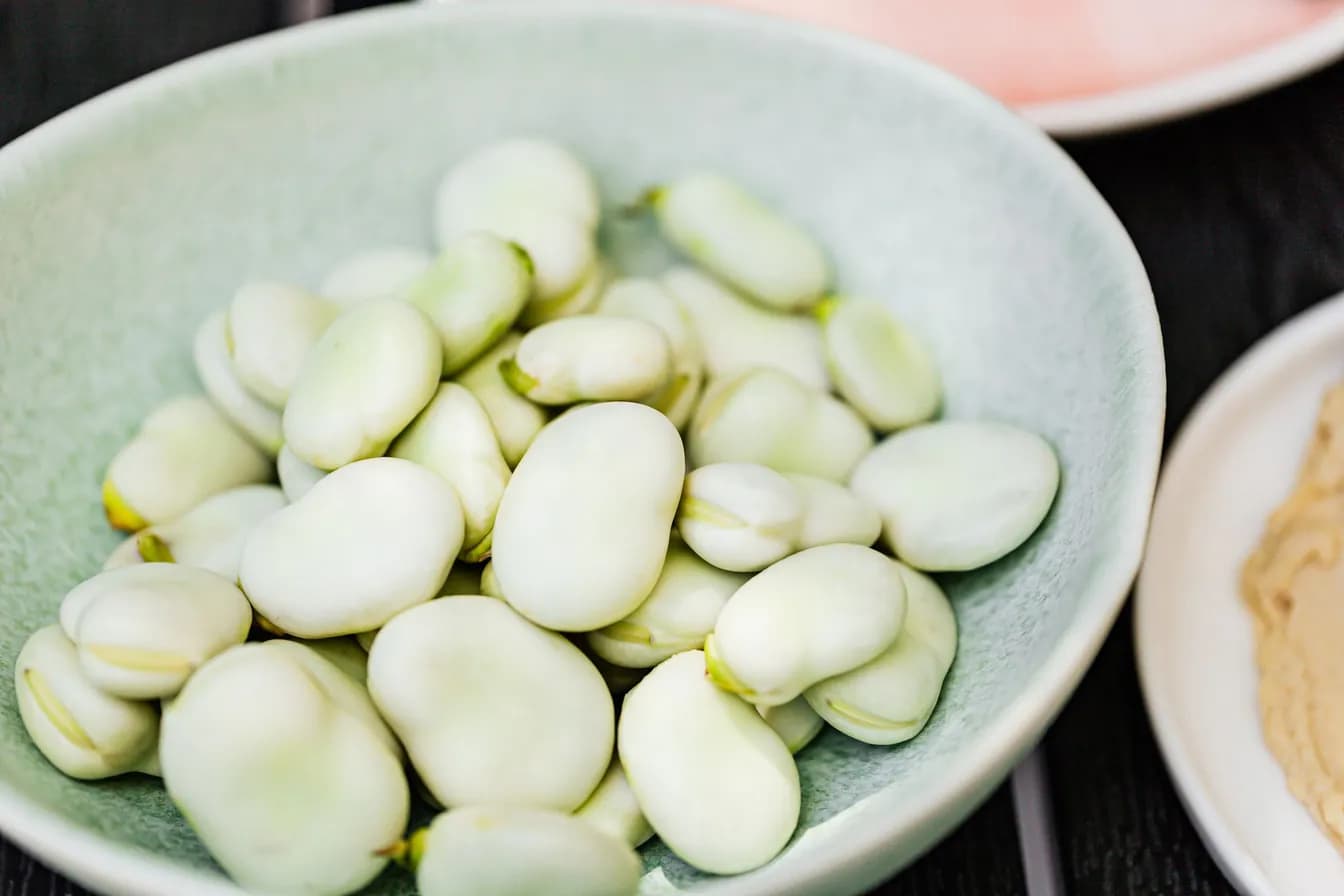 Fava