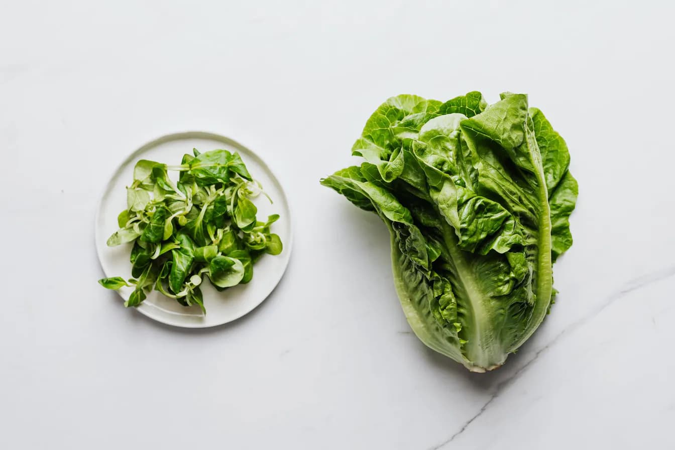 GEM ROMAINE LETTUCE, CAESAR DRESSING AND CIABATTA CROUTONS