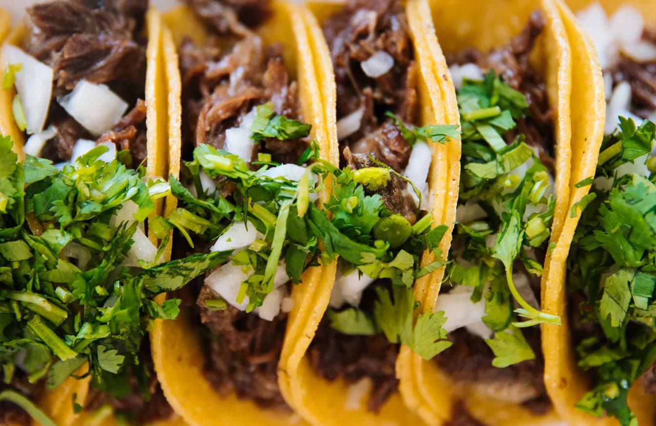 6 birria tacos