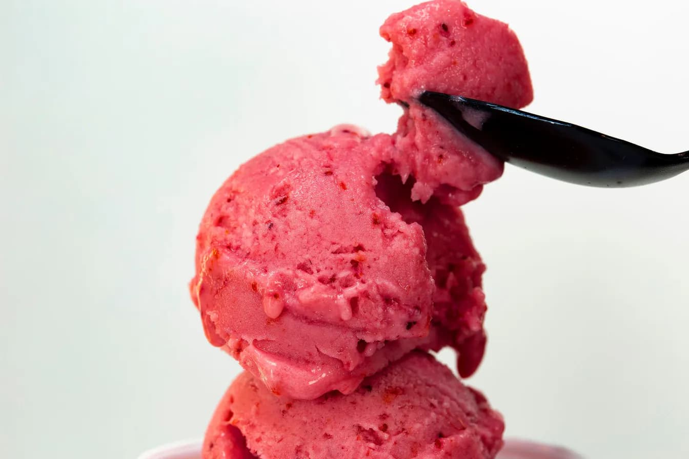 PLANT BASED ICE CREAM AND SORBET TRIO
