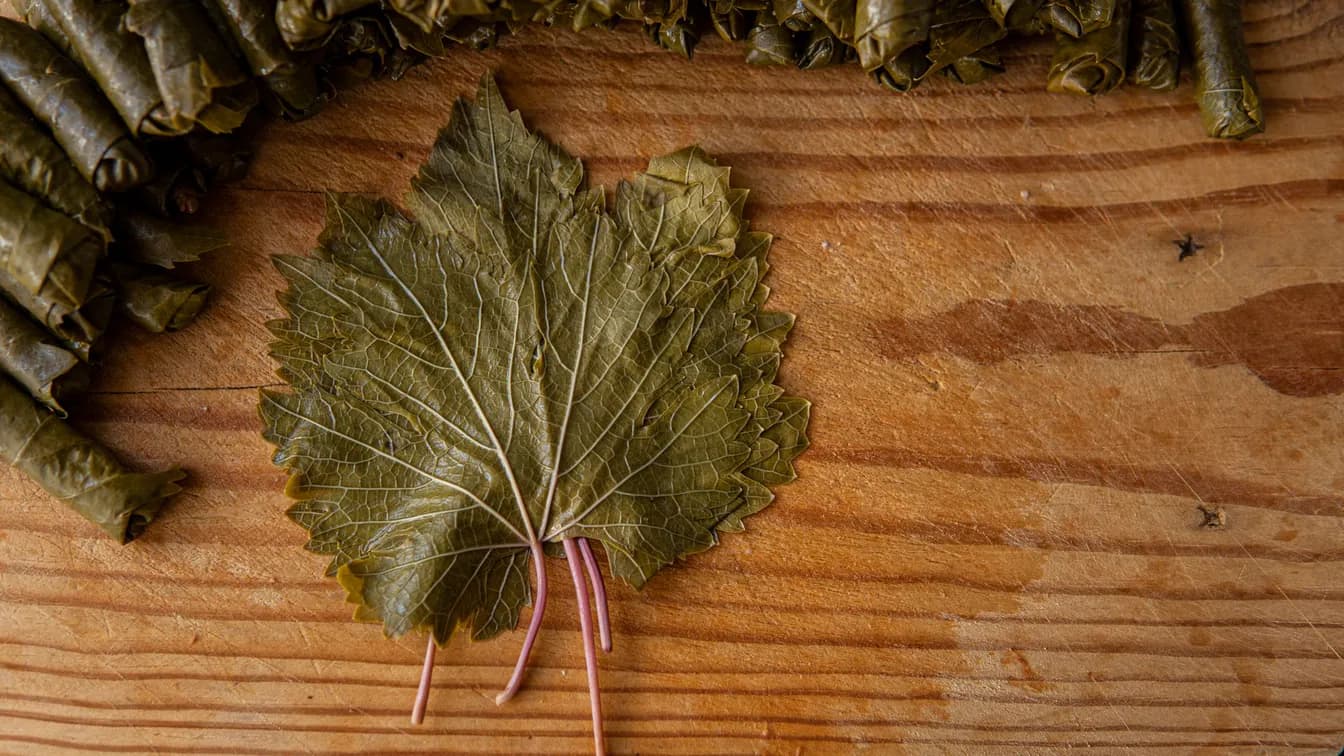 Vegetable Grape Leaves