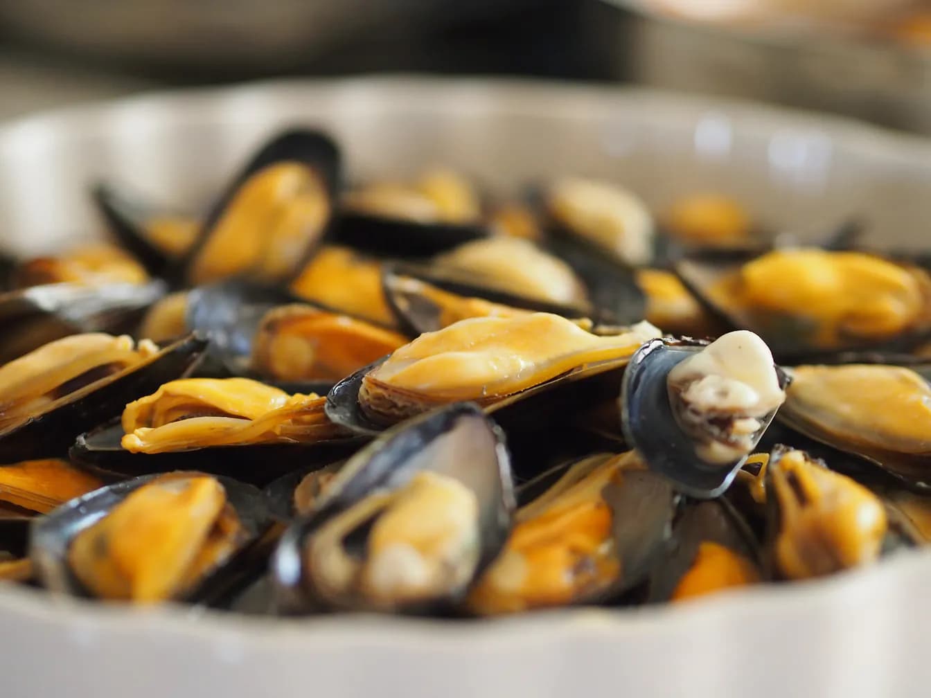 Mussels With Spicy Sausage