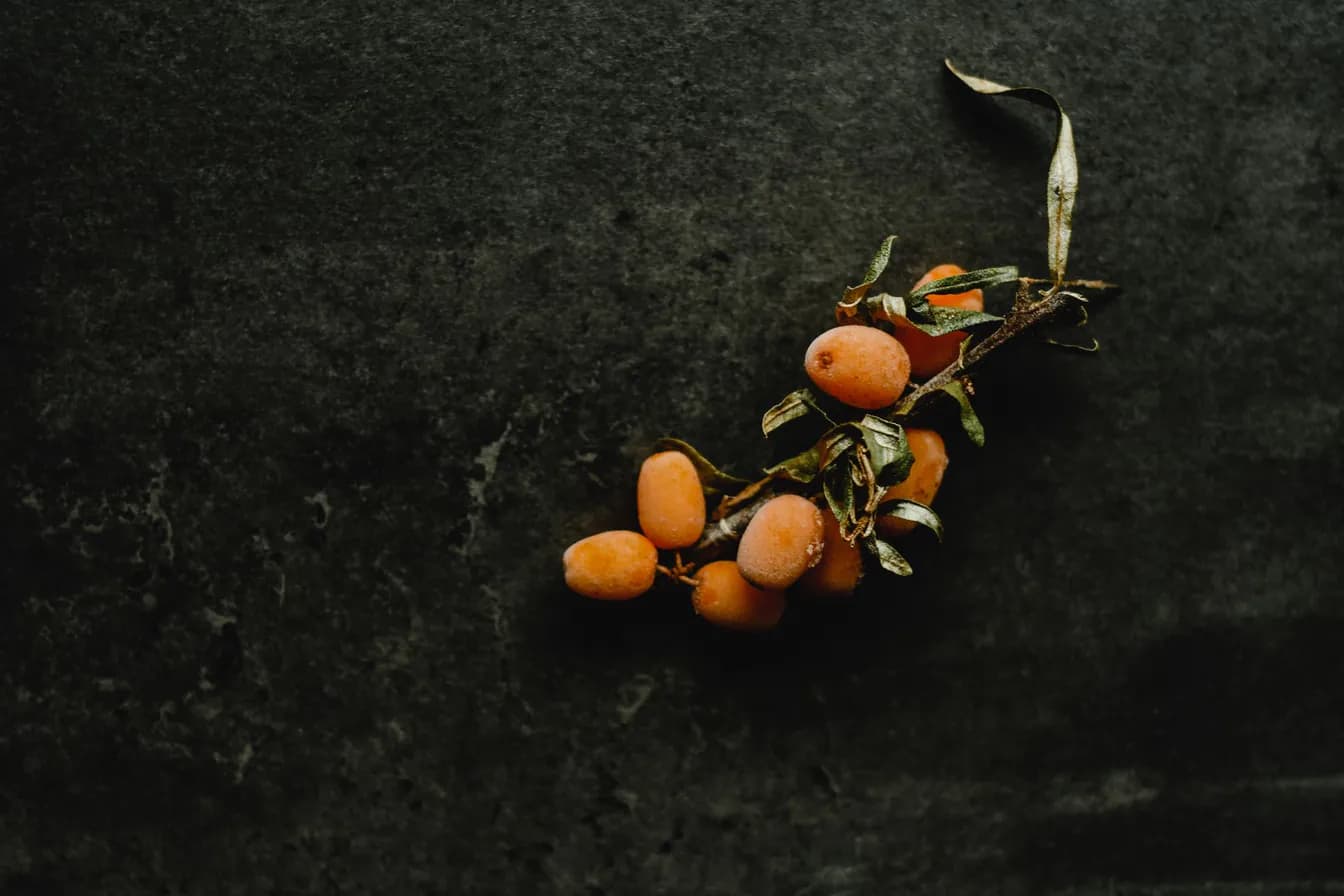 Bach & Berries