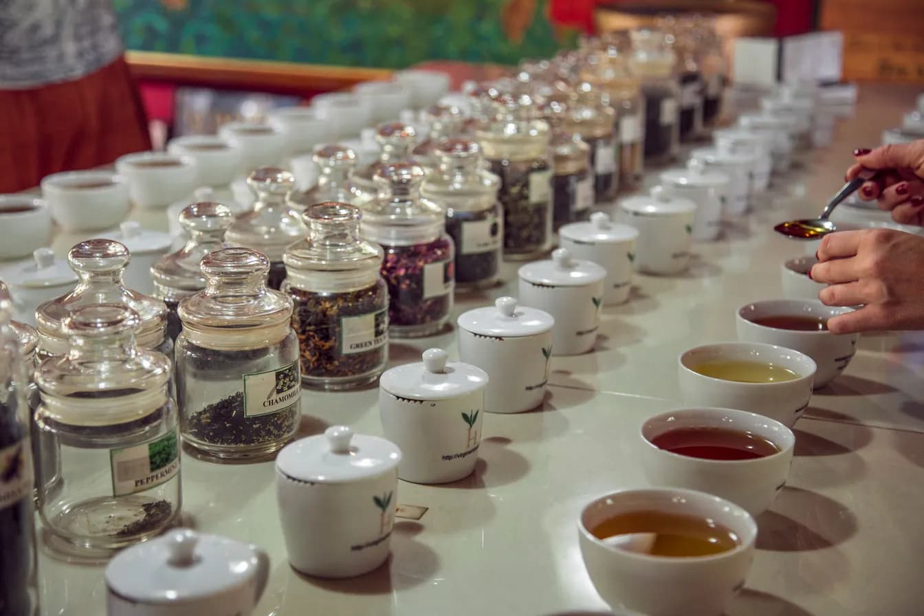 Assorted Hot Teas