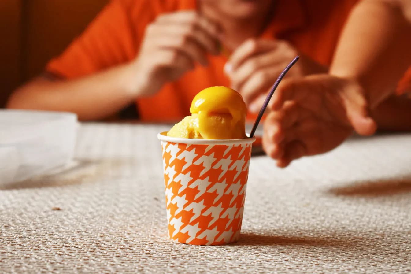 House Made Ice Creams & Sorbets