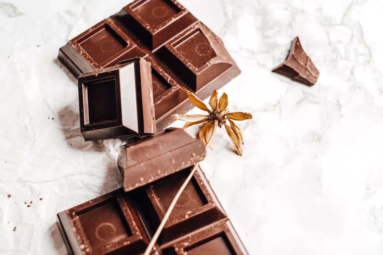 The Activator® Recovery Chocolate