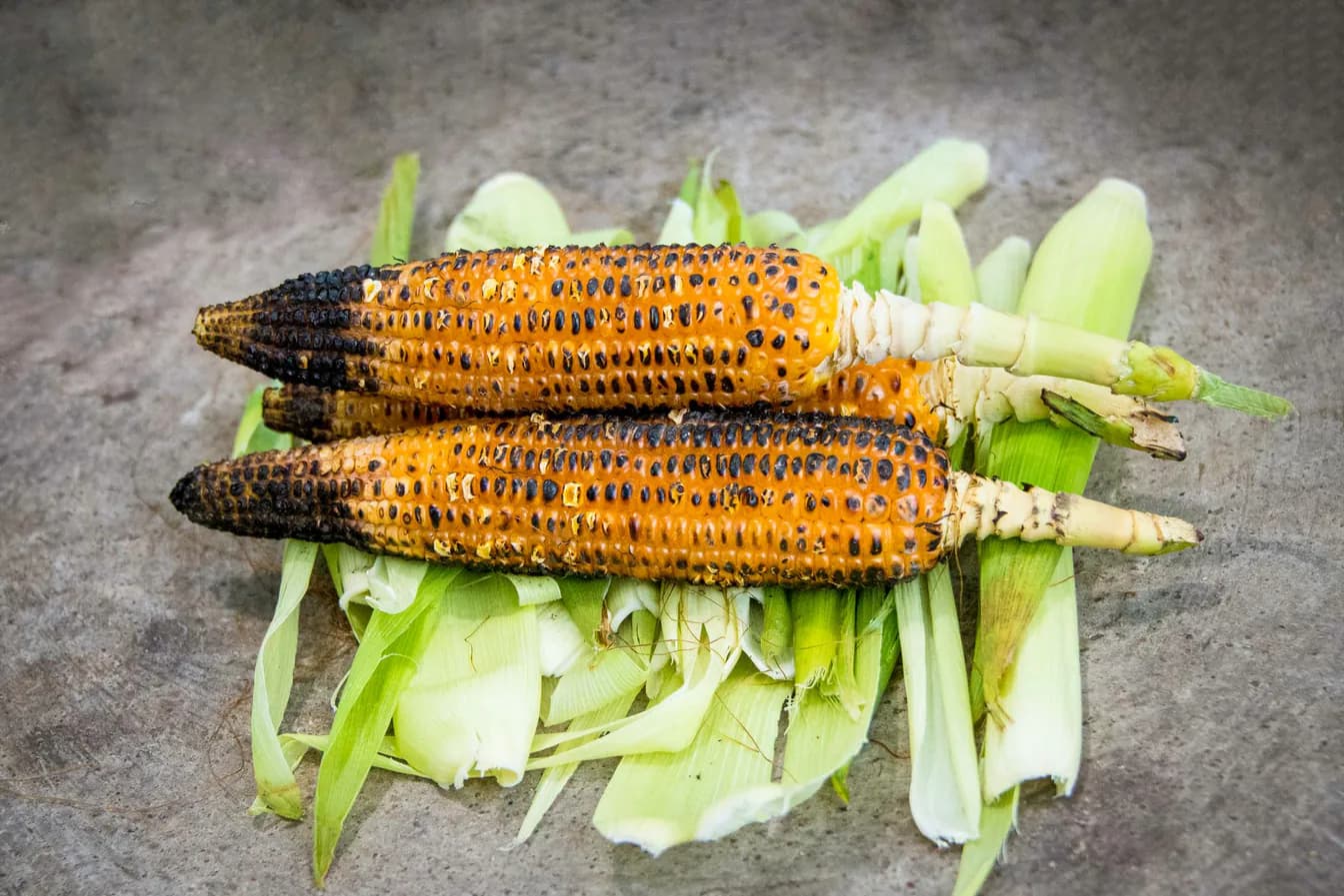 SWEET CORN CHEESE