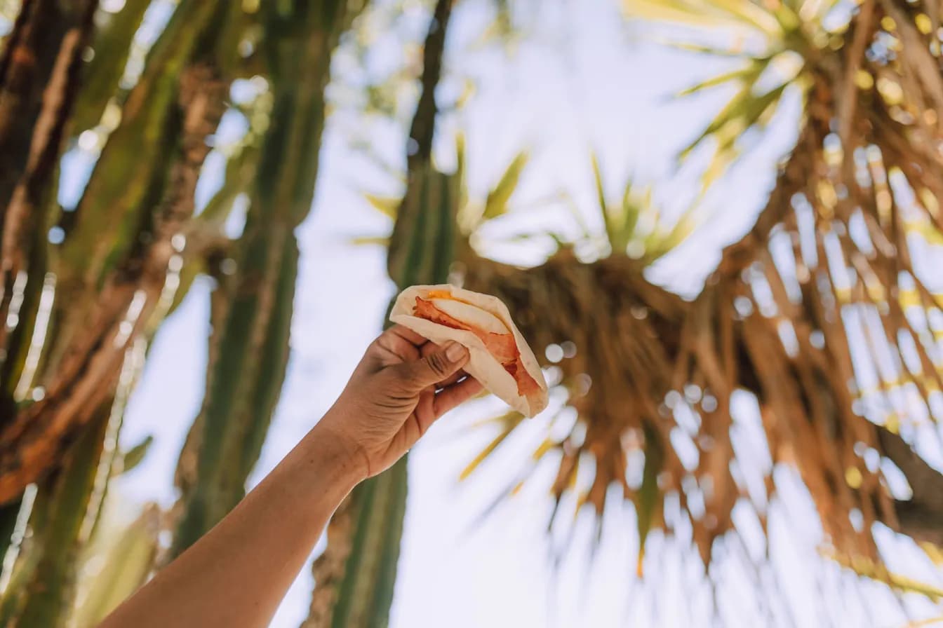 Palm Springs