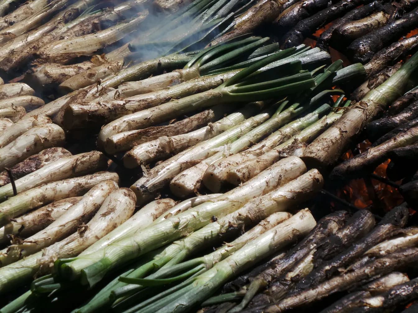Grilled Onions