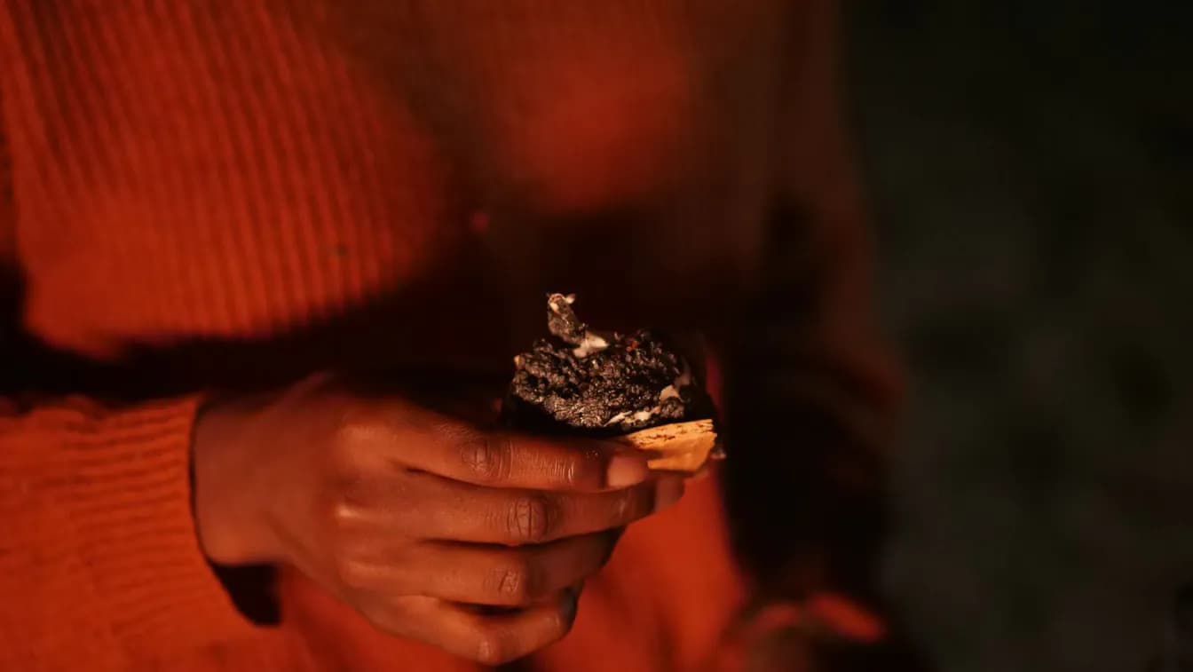 S'More's What?