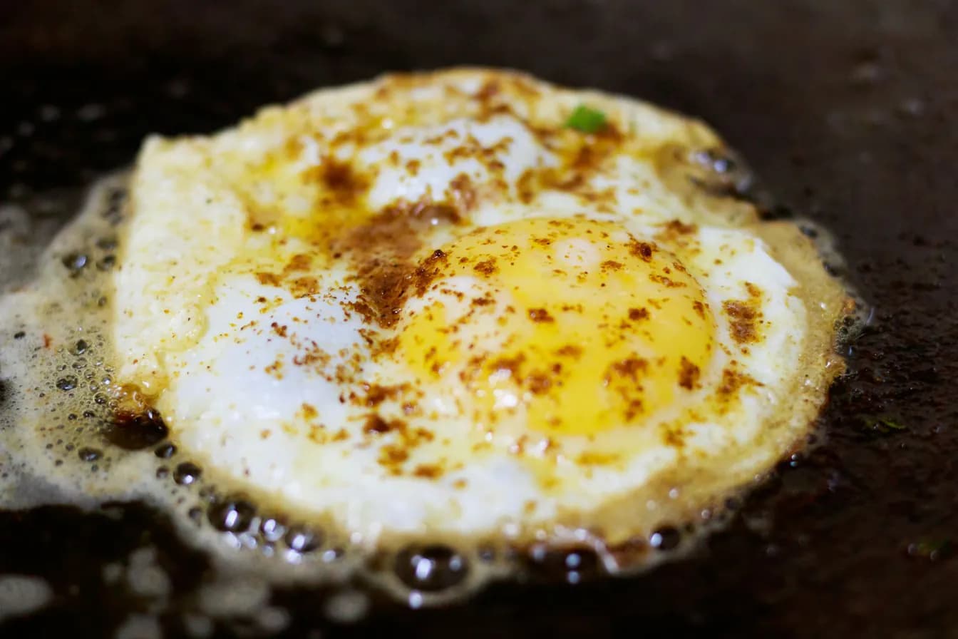 Egg