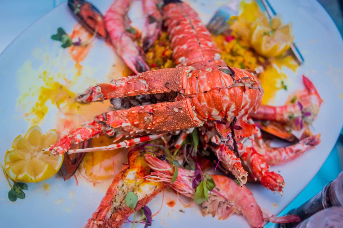 Jumbo Prawn