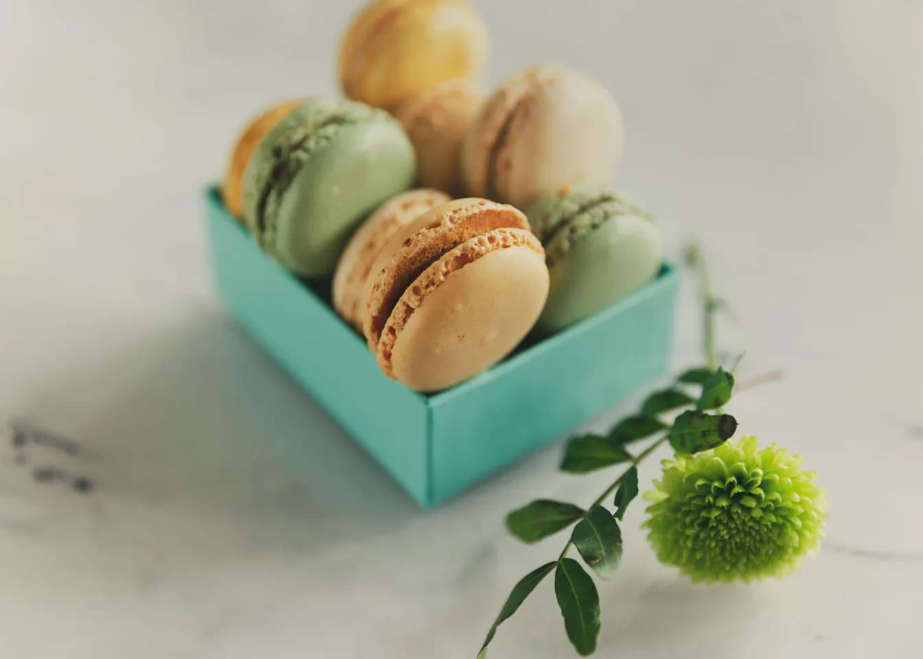 Gift box of 18 Eugénie Iconic Selection