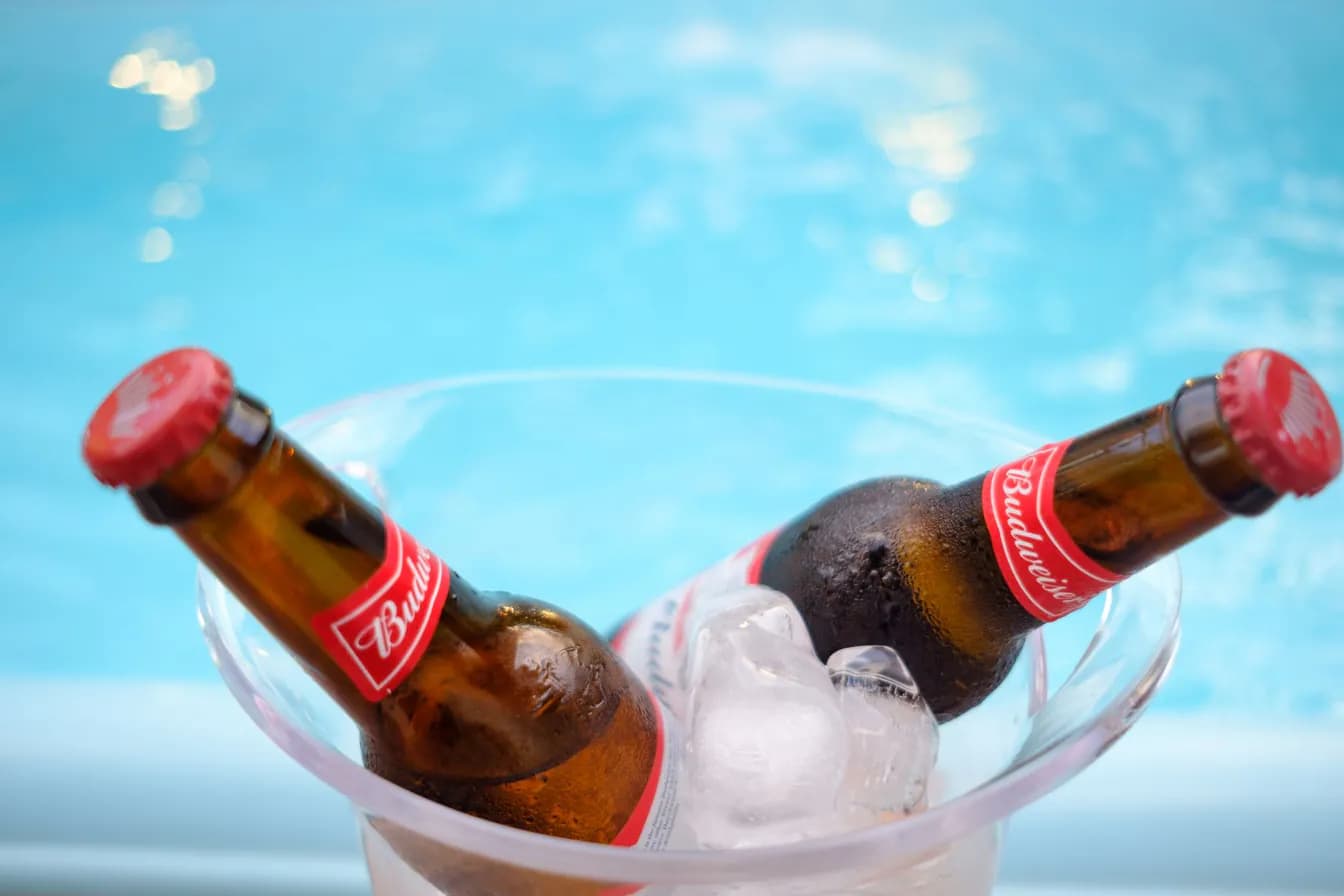 BUD BTL