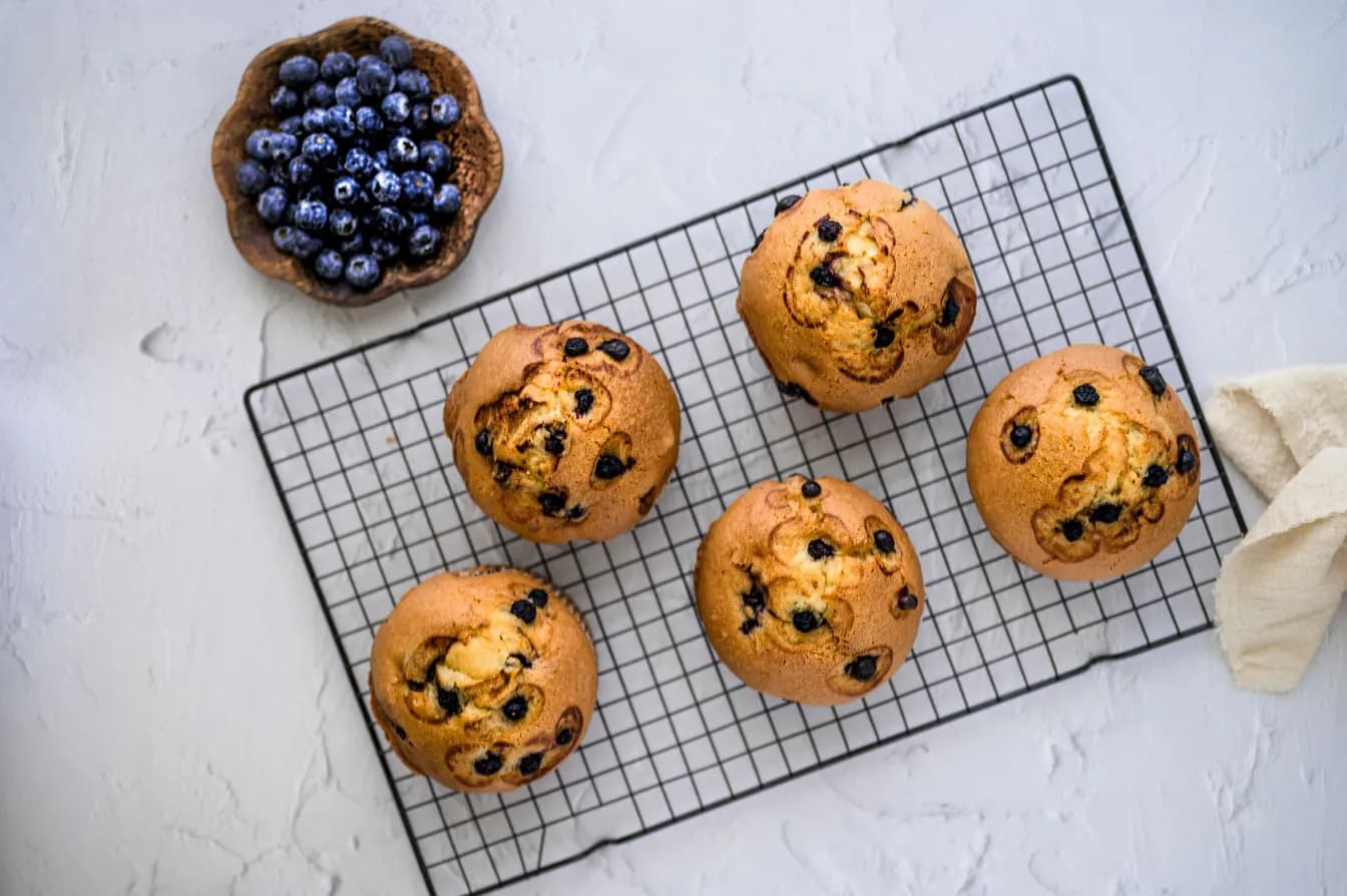 blueberry muffin