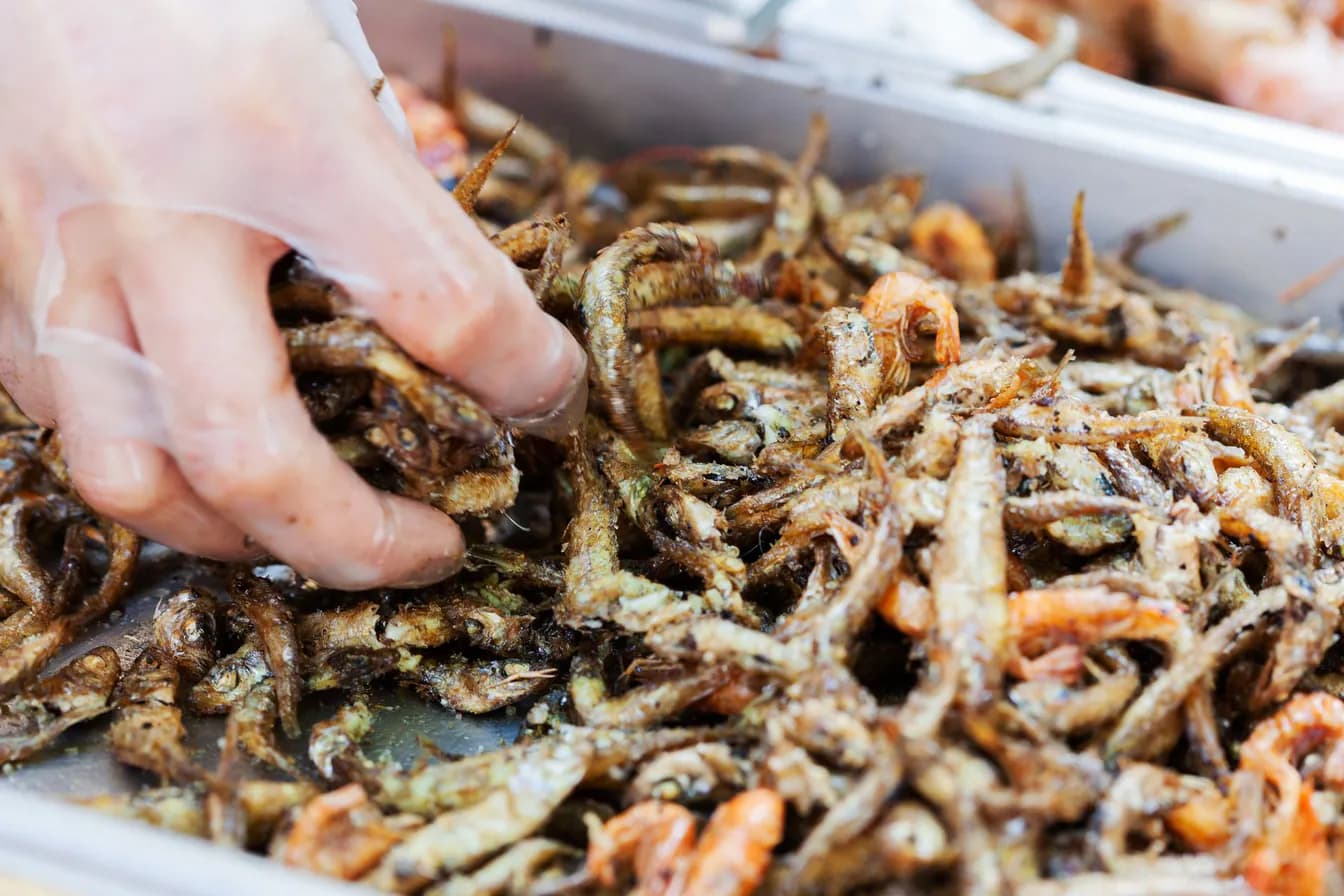 Jalea Mixta