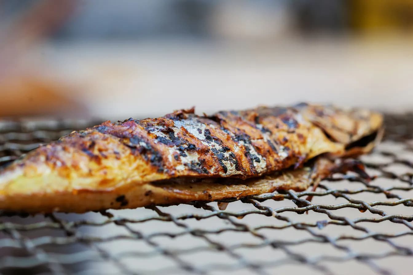 Mackerel - Saba