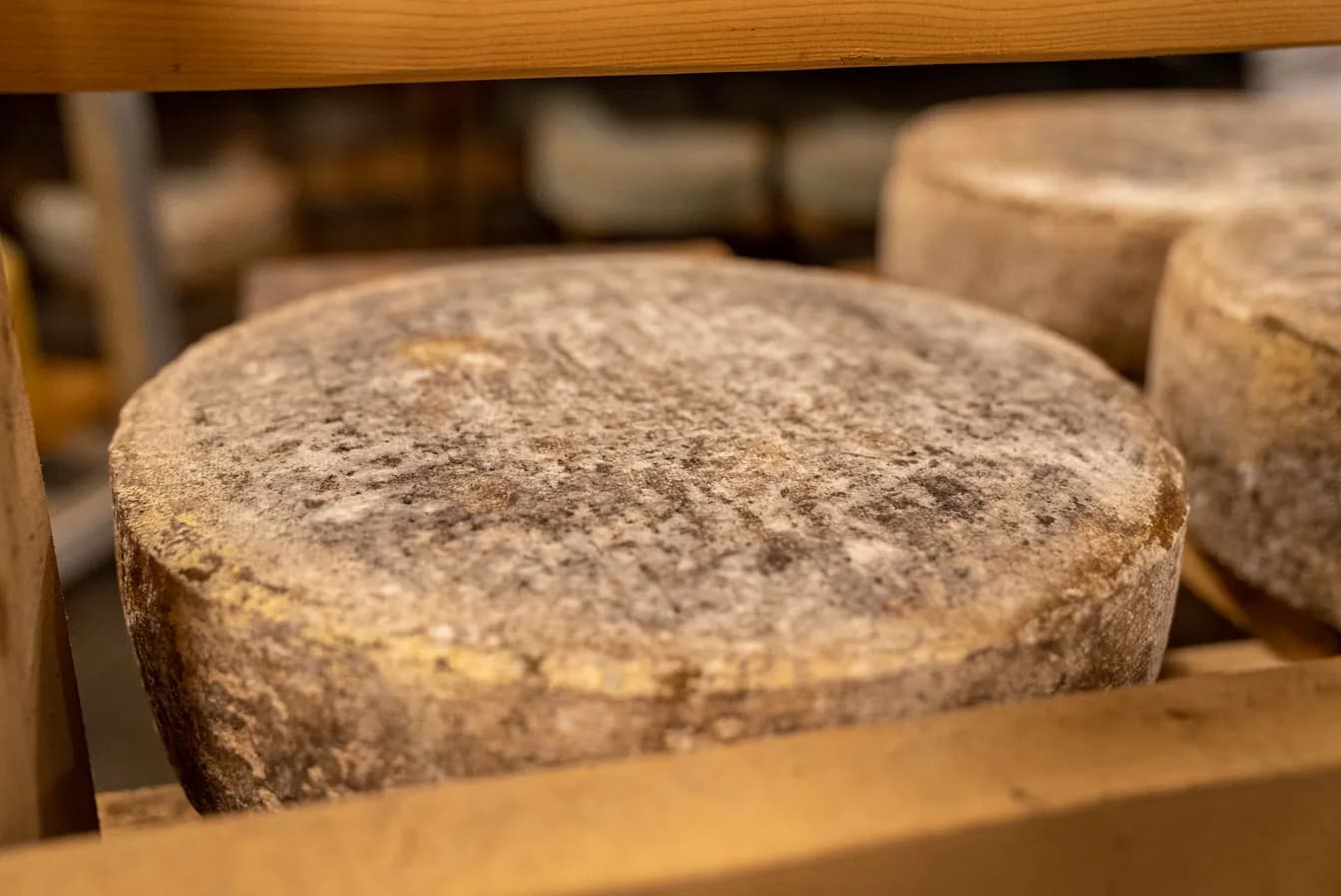 Charles Arnaud, Comte AOC aged 18 Months (1 lb)