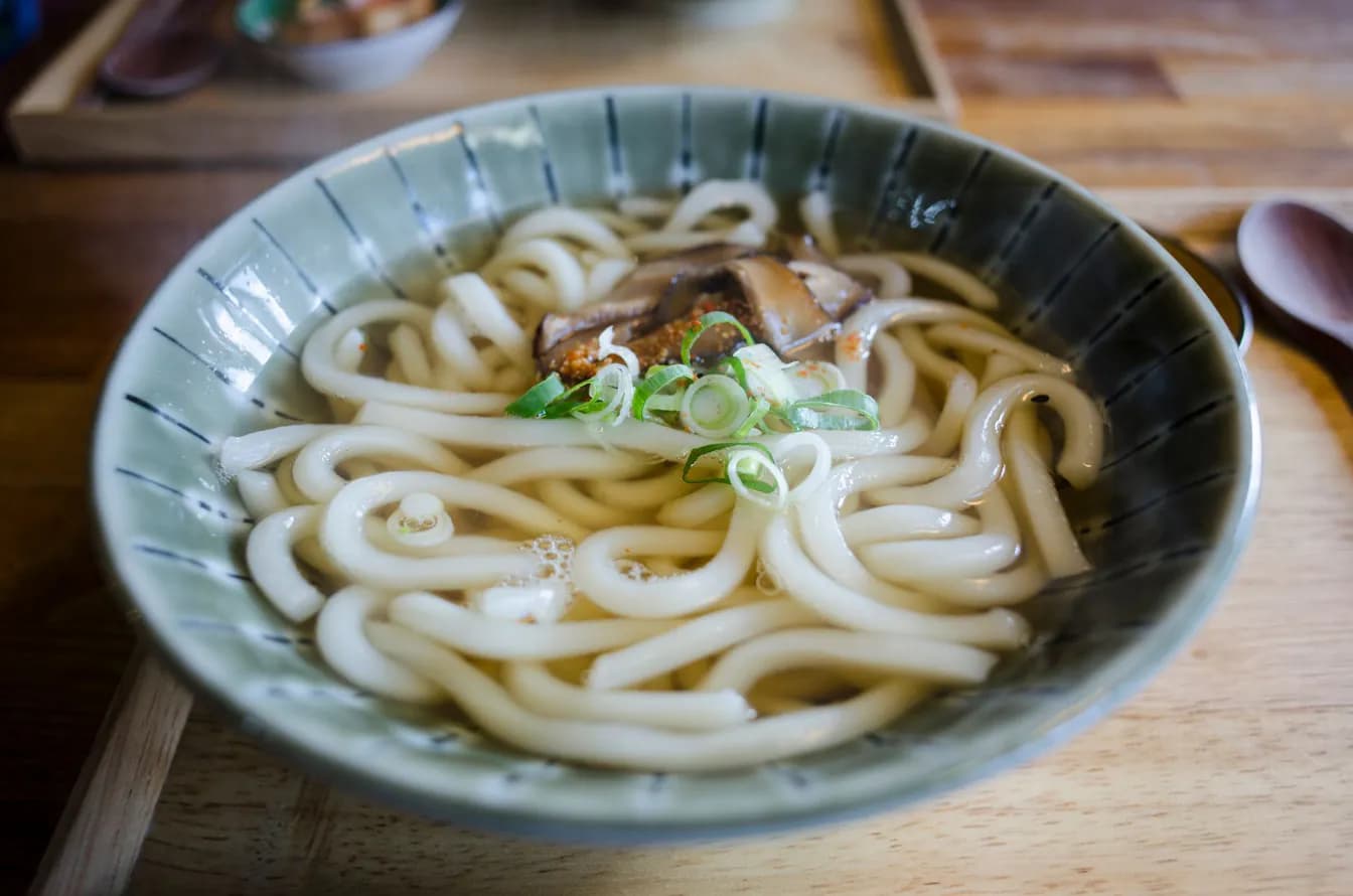 Udon Soup
