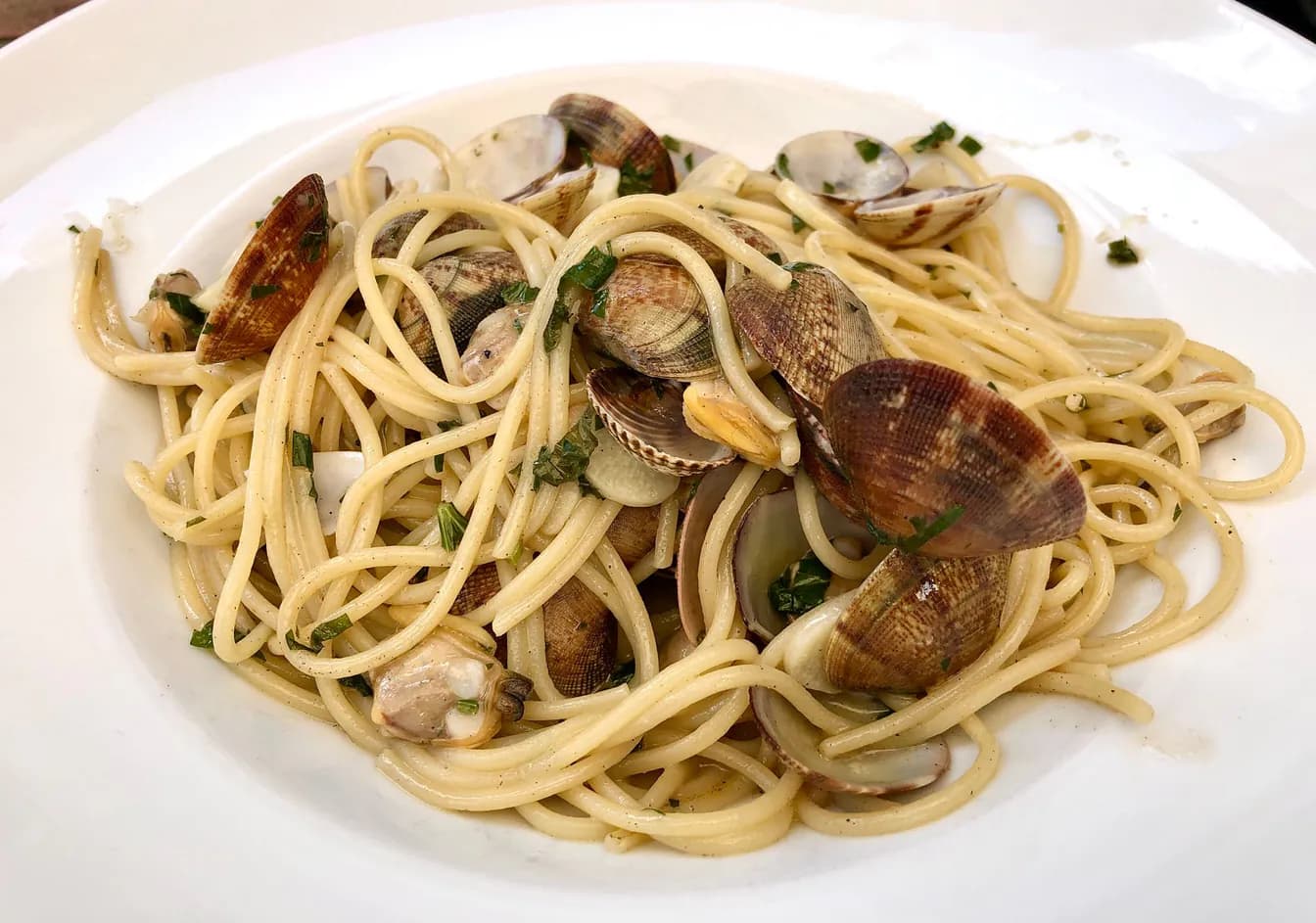 Zuppa di Vongole