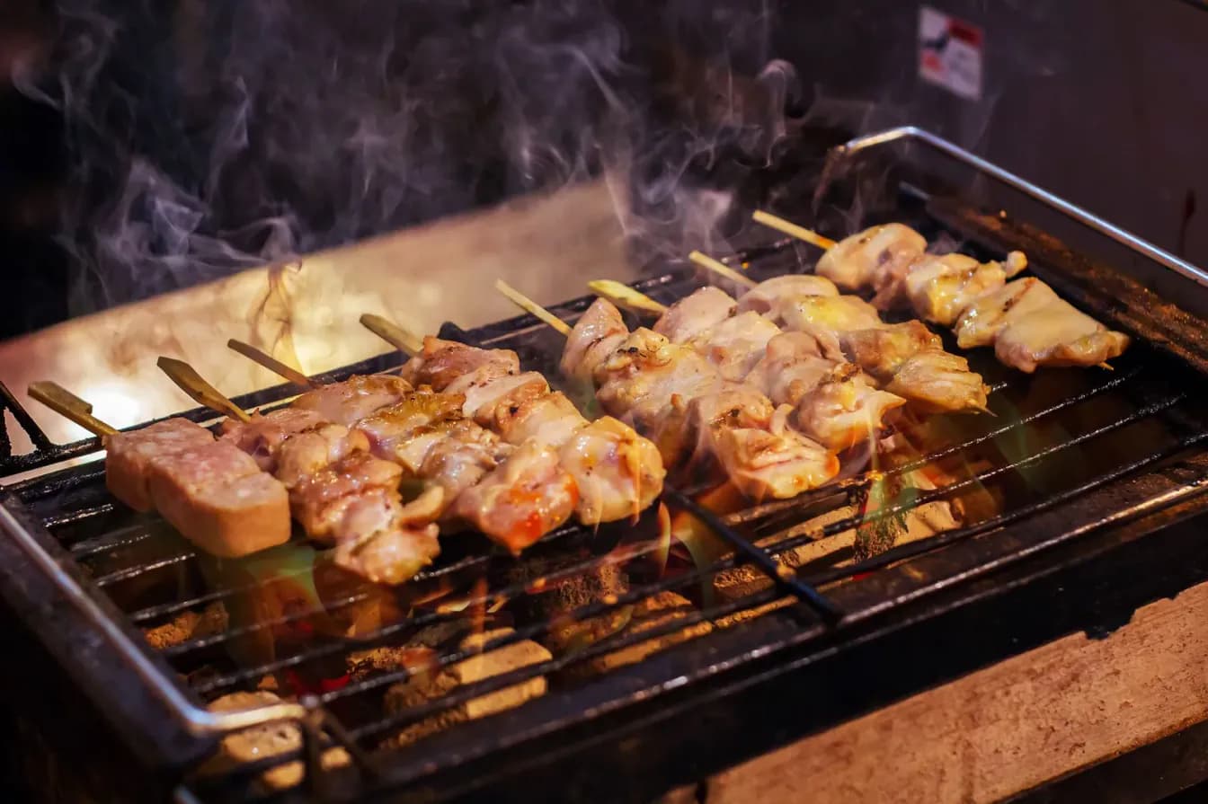 Fire-grilled Chicken Skewers