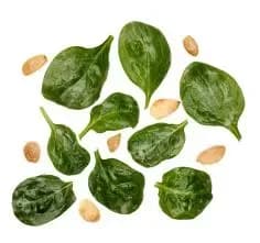 Spinach and Almond Salad