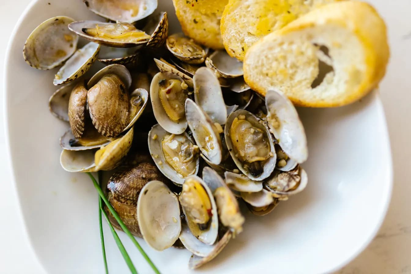 Clams